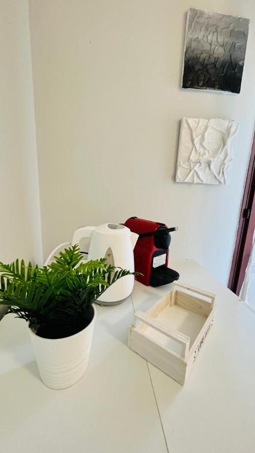 Appartamento Viareggio Deluxe Esterno foto